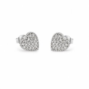 Pendientes Camila