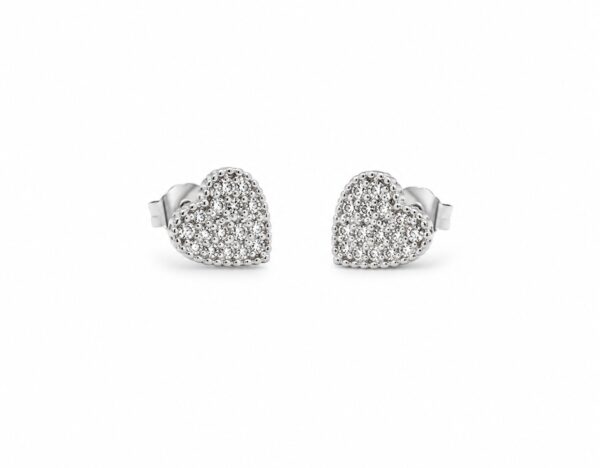 Pendientes Camila