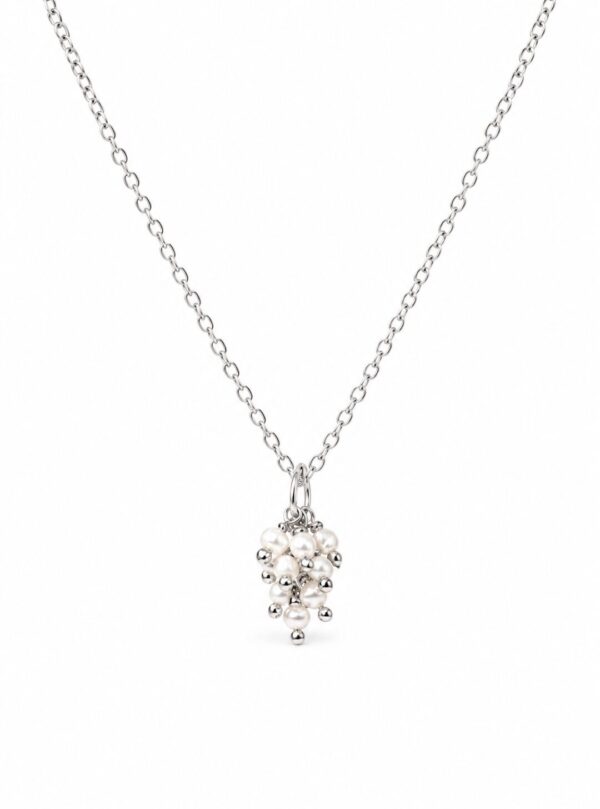 Collar Stella