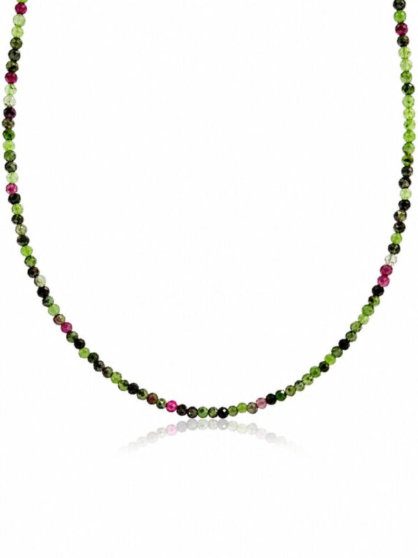 Collar Acacia